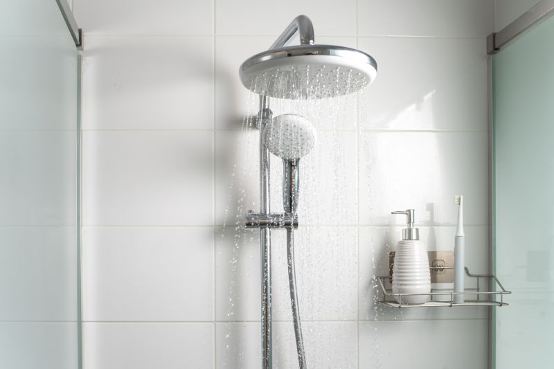 Rain Shower Head and Body Jets